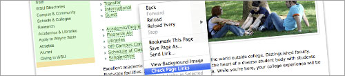 checklinks checklinks Web Development Tools. Whats in your web toolbelt?