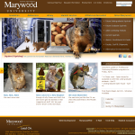 Marywood University Marywood University 150x150 Lessons of April Fools Day